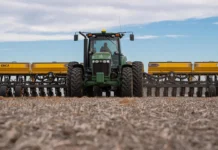 La Soja y el Maíz ya entran en la recta final