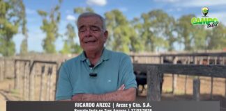 Entrevista a Ricardo Arzoz