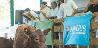 En Saladillo «los verdes» le pusieron «el físico» a la feria