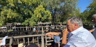 En Tres Arroyos la calidad manda