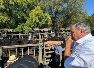 En Tres Arroyos la calidad manda