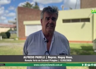 Entrevista a Alfredo Padelli