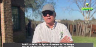 Entrevista a Daniel Alonso