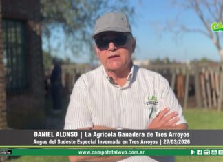 Entrevista a Daniel Alonso