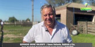 Entrevista a Gervasio Sáenz Valiente
