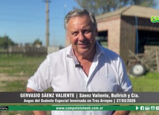 Entrevista a Gervasio Sáenz Valiente