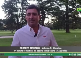 Entrevista a Roberto Mondino
