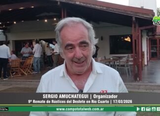 Entrevista a Sergio Amuchategui