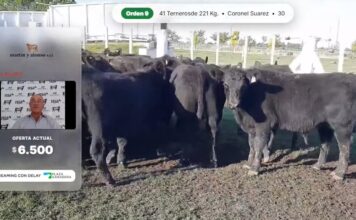 Las lluvias permitieron venta parcial para la web