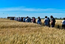 La clave estará en la elección de los materiales