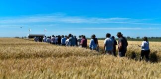 La clave estará en la elección de los materiales