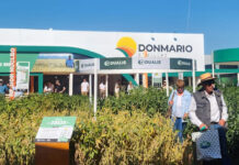 El blindaje que revoluciona a la Soja