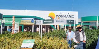 El blindaje que revoluciona a la Soja