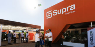 Del ambiente a la solución: cómo se piensa el Maíz hoy