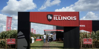 Illinois, sembrando resultados mirando al futuro del maíz