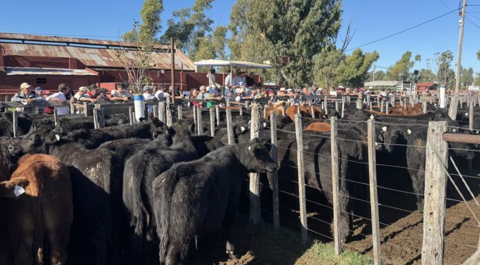 Un especial de invernada para una fecha especial