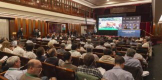 «Los verdes», un equipo que se las «banca»