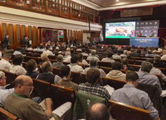 «Los verdes», un equipo que se las «banca»