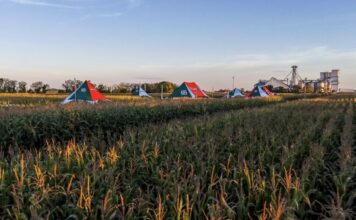 Experiencia SupraRoad: Del campo a la genética