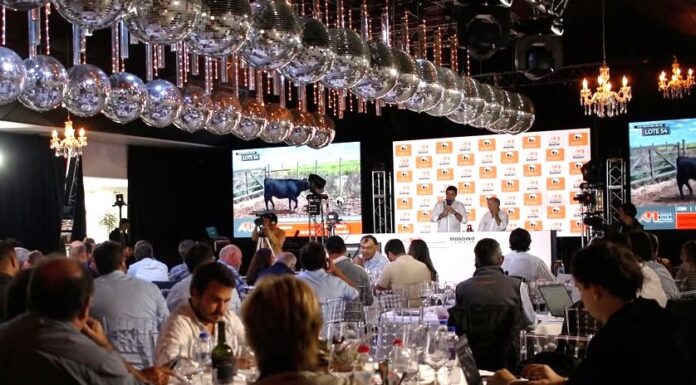 Huellas Ganaderas vuelve a dejar la marca en Necochea