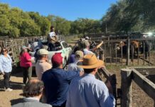 La plaza siempre muestra calidad y firmeza