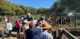 La plaza siempre muestra calidad y firmeza