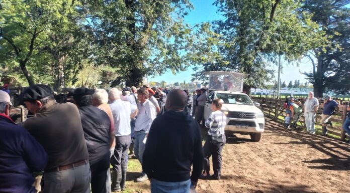 En Laprida, la cría manda