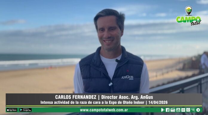 Entrevista a Carlos Fernández