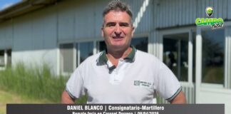 Entrevista a Daniel Blanco