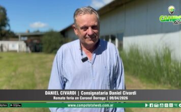 Entrevista a Daniel Civardi