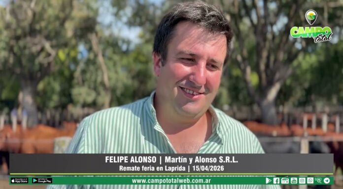 Entrevista a Felipe Alonso