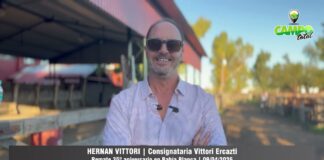 Entrevista a Hernán Vittori