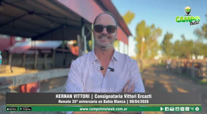 Entrevista a Hernán Vittori