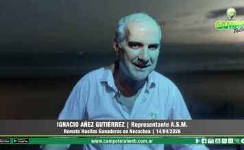 Entrevista a Ignacio Añez Gutiérrez