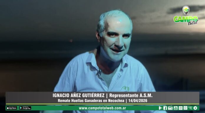 Entrevista a Ignacio Añez Gutiérrez