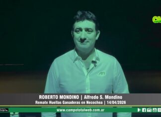 Entrevista a Roberto Mondino