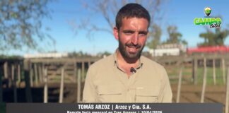 Entrevista a Tomás Arzoz