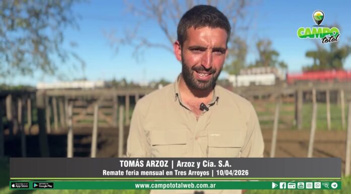 Entrevista a Tomás Arzoz