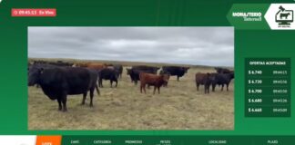 La web le hizo frente a las precipitaciones