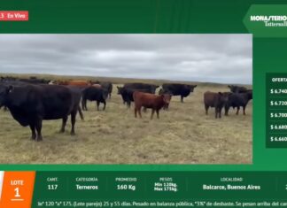 La web le hizo frente a las precipitaciones