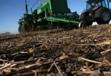 El arranque, con todas las miradas