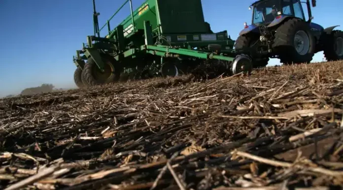 El arranque, con todas las miradas