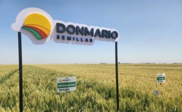 Trigo 2026: un portfolio estratégico