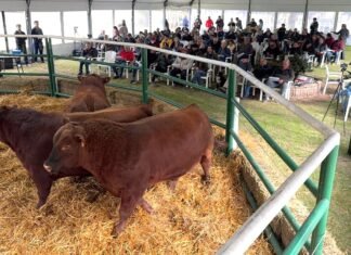 Tres Marías puso primera en Salliqueló