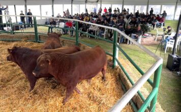 Tres Marías puso primera en Salliqueló