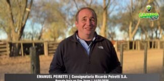 Entrevista a Emanuel Peiretti
