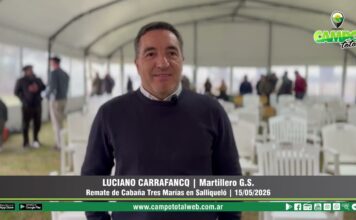 Entrevista a Luciano Carrafancq