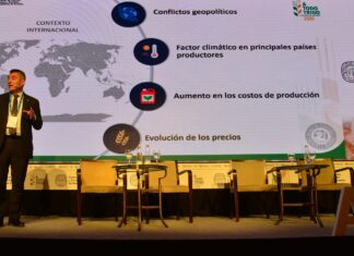 La fina ¿camino a otra campaña destacada?