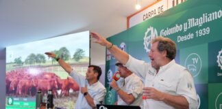 Banco Provincia impulsa negocios junto a Colombo y Magliano