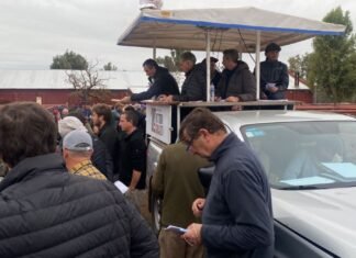 El clima y el mercado, se expresaron en Bahía